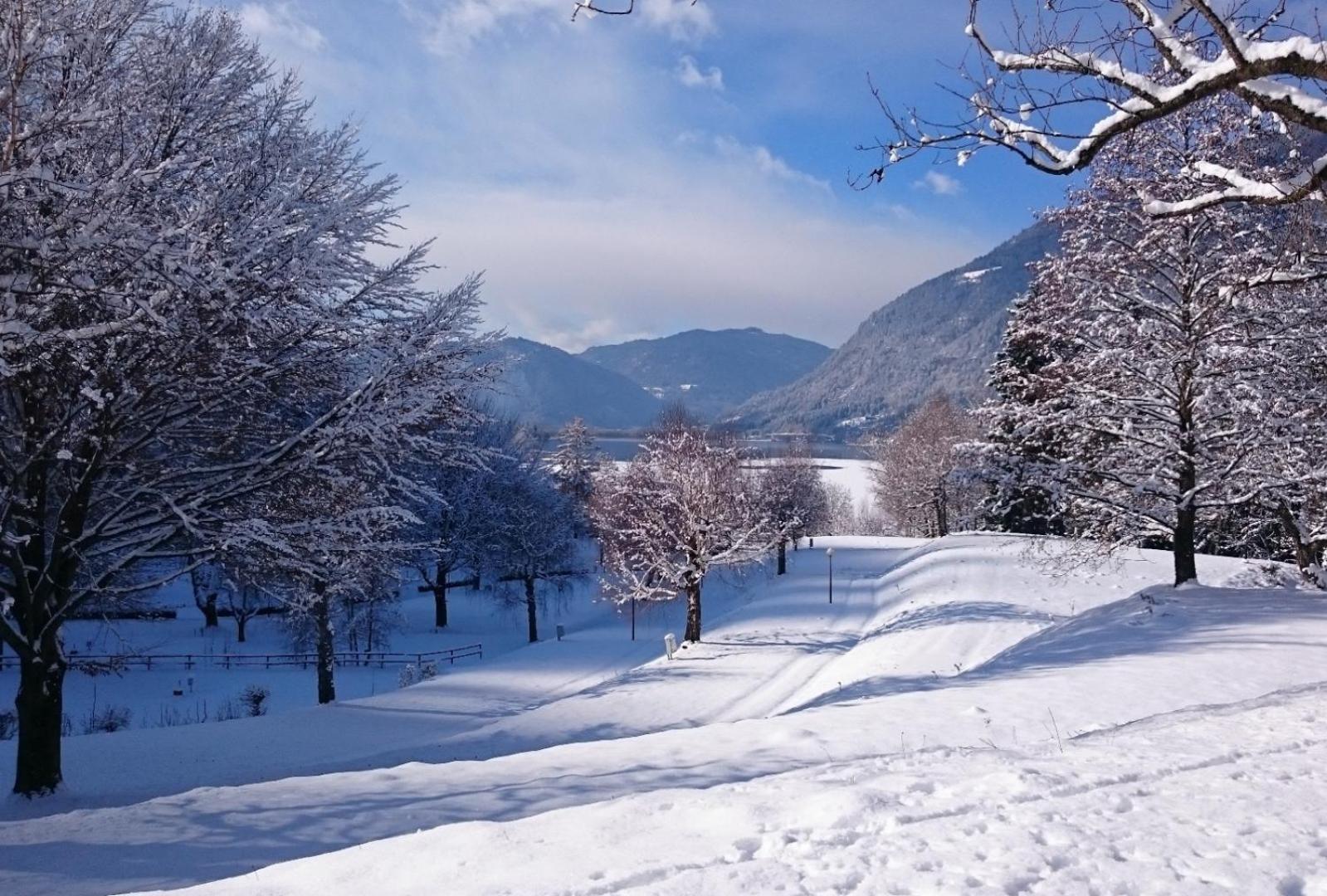 Seecamping Berghof - Mobilheime Landskron エクステリア 写真